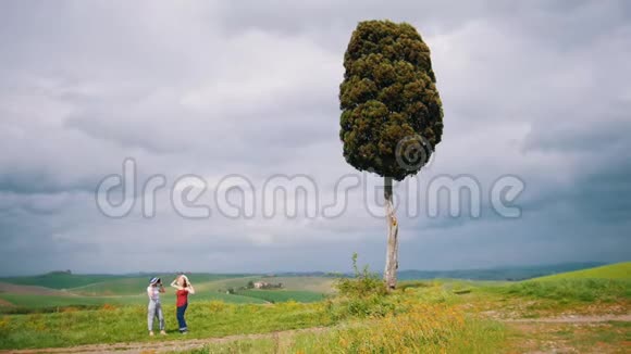 两个女人站在一片绿色的田野里的一棵大树下视频的预览图