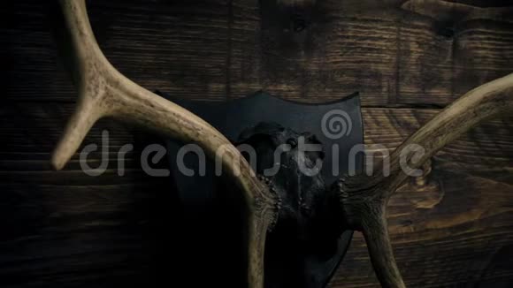 穿过的鹿角挂在猎墙小屋上人类洞穴视频的预览图