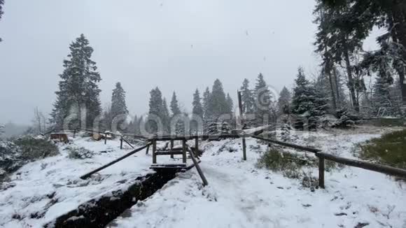 冬季山脉有雪哈兹森林湖奥德泰奇风景视频的预览图