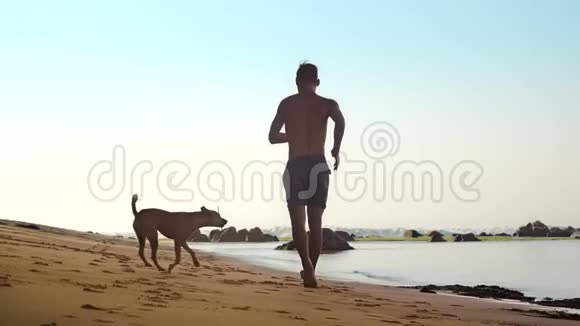 肌肉运动员带着滑稽的狗沿着潮湿的黄沙奔跑视频的预览图