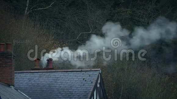 在寒冷的冬日烟囱冒出的烟雾视频的预览图