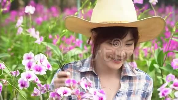 女园丁穿格子衬衫戴帽子手拿剪刀剪兰花视频的预览图