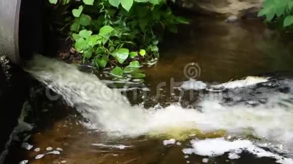 脏水从河中的管道中流出环境污染视频的预览图