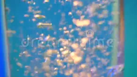 气泡在水中上升到顶部视频的预览图