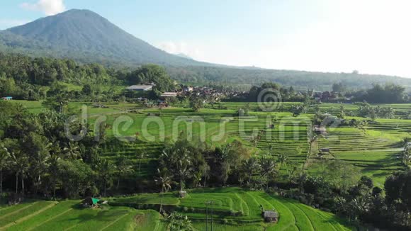 在印度尼西亚巴厘岛的JatiluwihRiceTeraces和山地上的一个令人惊叹的景观稻田中播放空中视频视频的预览图
