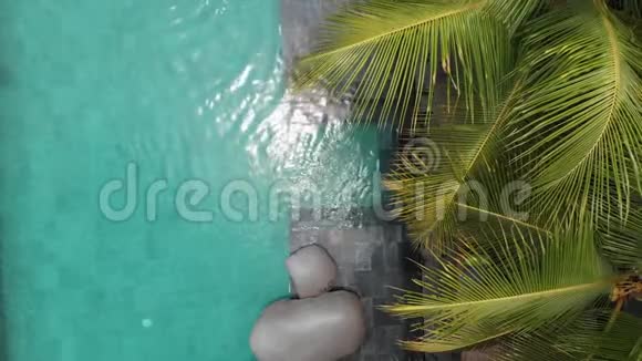豪华无限泳池和热带棕榈树的蓝色水的空中无人机飞行景观豪华别墅游泳池视频的预览图
