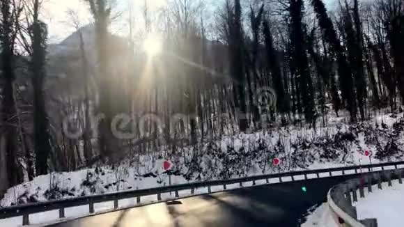 阳光透过树木照耀冬天的雪林视频的预览图