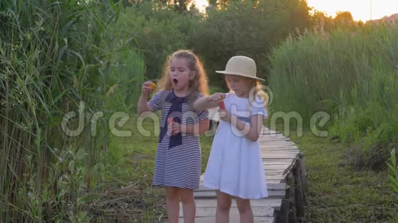 可爱的小女朋友吹泡泡站在大自然的绿色草地上的木桥上视频的预览图