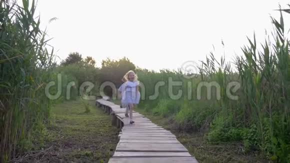 性格开朗的小男孩和朋友一起玩追赶游戏在大自然的木桥上绿色的草地上奔跑视频的预览图
