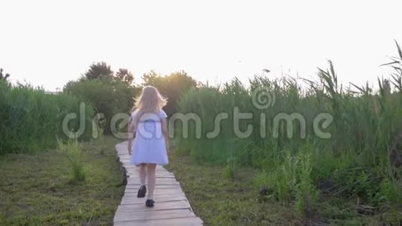 活跃的孩子女孩和男孩在绿色芦苇丛中玩追赶和在大自然中的木桥上奔跑视频的预览图