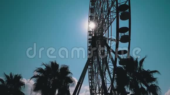 阳光明媚的一天棕榈树附近的摩天轮对太阳蓝天的剪影视频的预览图