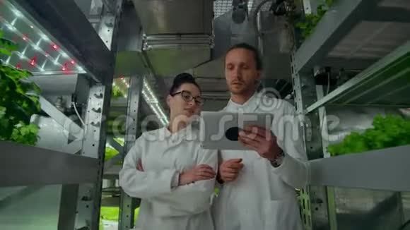 科学家们穿着白色外套带着笔记本电脑沿着农场的走廊进行水培并讨论了水培的结果视频的预览图