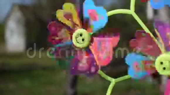 旋转一个彩色的玩具在阳光下随风微笑视频的预览图