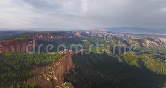 空中摄像机远离峡谷浓密覆盖着绿色松树视频的预览图