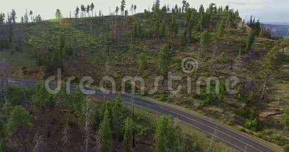 一条高速公路穿过一片罕见的松林和一辆接近的白色拖车视频的预览图