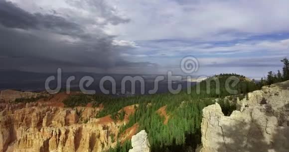 无人机接近覆盖着松树的峡谷上方的云层视频的预览图