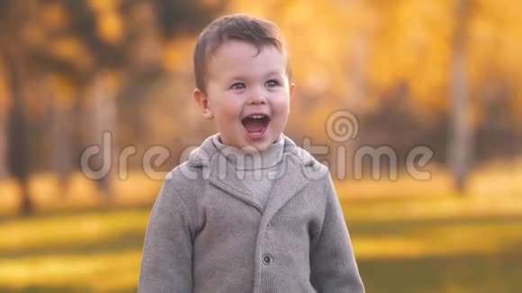 秋天公园里快乐的男孩视频的预览图