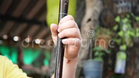 一个音乐家在拉纳地区或泰国北部演奏萨洛尔两三弦琴视频的预览图