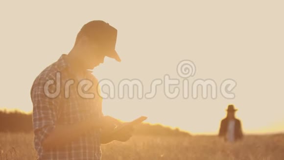 两个农民一个男人和一个女人期待着日落越过一片麦田农业综合企业的团队合作视频的预览图