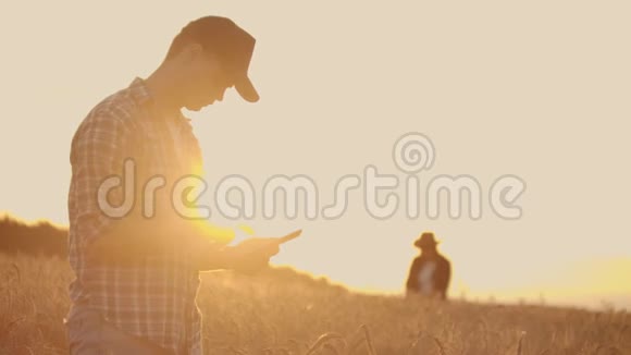 两个农民一个男人和一个女人期待着日落越过一片麦田农业综合企业的团队合作视频的预览图