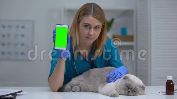 带猫显示电话的女兽医宠物健康应用程序在线疫苗注册视频的预览图