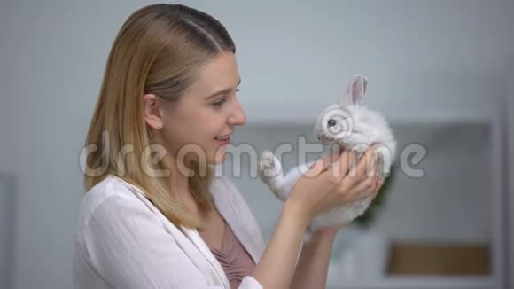 女人检查兔子身上的跳蚤和螨虫在家做健康检查有爱心的主人视频的预览图