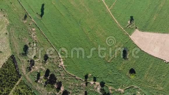 无人机拍摄乡村农业农场的鸟瞰风景视频的预览图