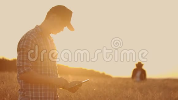 两个农民一个男人和一个女人在一个麦田里用平板电脑工作并分析作物的成功视频的预览图