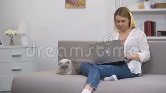 女孩在笔记本电脑上搜寻兽医网站登记猫兽医咨询视频的预览图