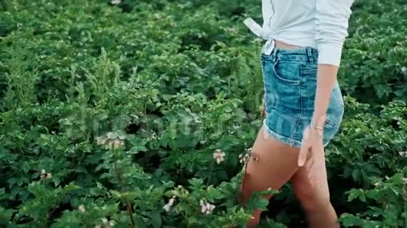 一个穿短裤的年轻农民女孩走过田野农产品种植有机产品视频的预览图
