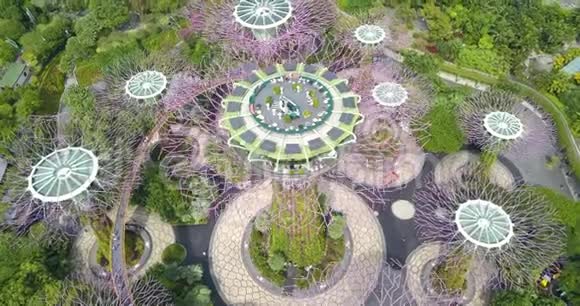 新加坡海湾花园由无人驾驶飞机沿树下行驶的超级树树林的空中镜头视频的预览图