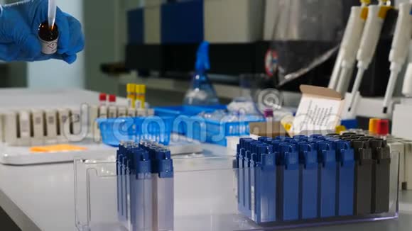 遗传学研究的现代医疗设备在蓝手套中使用微型移液管进行手部特写视频的预览图