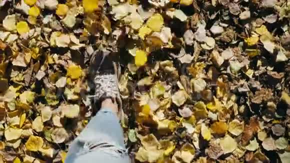 女性脚踩彩色落叶的观点视频的预览图