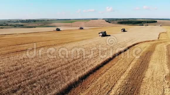 组合者在农场犁一块大田联合收割小麦的鸟瞰图视频的预览图