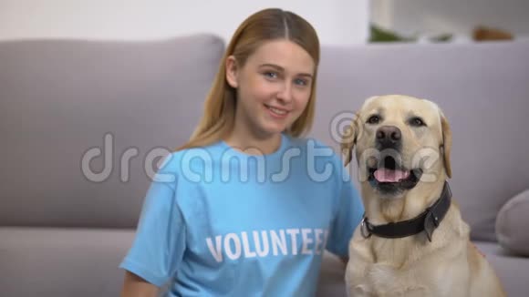 坐在可爱的流浪拉布拉多犬社会收养项目附近的女性志愿者视频的预览图