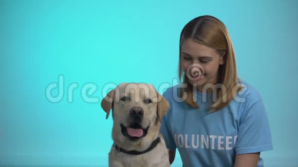 微笑的女志愿者带着可爱的狗看着镜头帮助动物视频的预览图