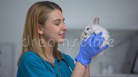 年轻的女兽医与兔子玩耍关心和爱动物医院的病人视频的预览图
