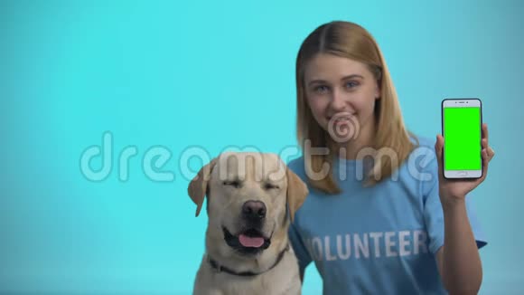 动物志愿者带着拉布拉多犬显示绿色屏幕手机慈善应用程序视频的预览图