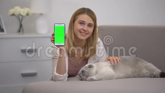 为动物慈善网站提供绿色屏幕的带猫的智能手机的快乐女孩视频的预览图