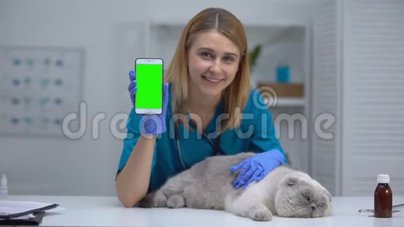 微笑兽医与懒猫显示智能手机宠物健康检查记录在线视频的预览图