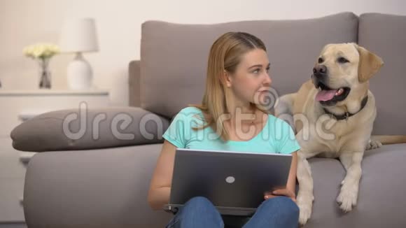快乐拉布拉多猎犬女主人用笔记本电脑在线购买狗粮视频的预览图