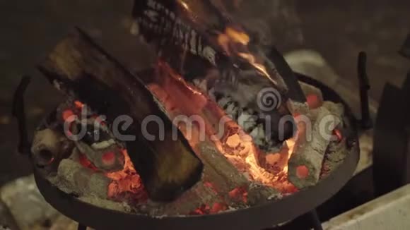 原木在烤架上烧成木炭视频的预览图