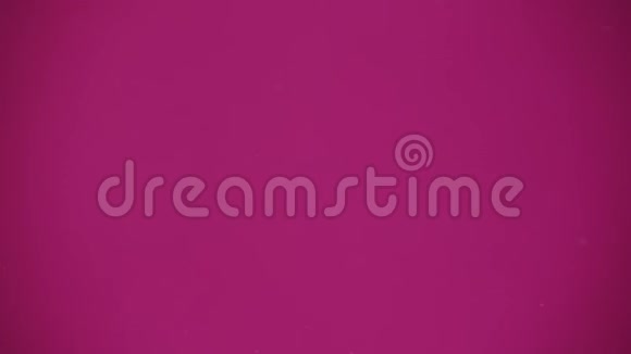 一种新鲜的覆盆子在粉红色的背景上溅到水里视频的预览图