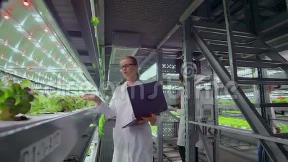 摄像机穿过一个现代金属农场的走廊用来种植蔬菜和草药一个科学家小组视频的预览图