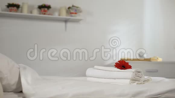 年轻的女仆在酒店房间里铺床放花照顾顾客视频的预览图