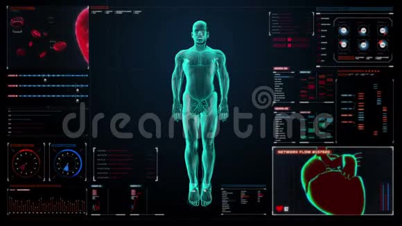 人的内脏消化系统蓝色X光灯在数字显示用户界面面板上视频的预览图