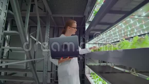 摄像机穿过一个现代金属农场的走廊用来种植蔬菜和草药一个科学家小组视频的预览图