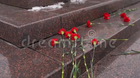 历史纪念碑上的新鲜康乃馨花以纪念记忆和悲伤视频的预览图