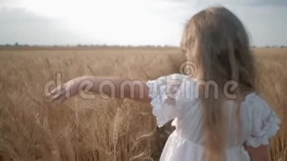 快乐的孩子在田野里小女孩走过成熟的黄色谷物草地用手摸麦子视频的预览图