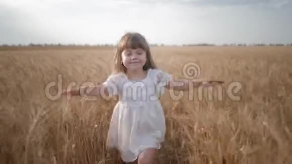 快乐的童年微笑着的小孩子奔跑着触摸着谷物收割场上被撕裂的麦穗视频的预览图